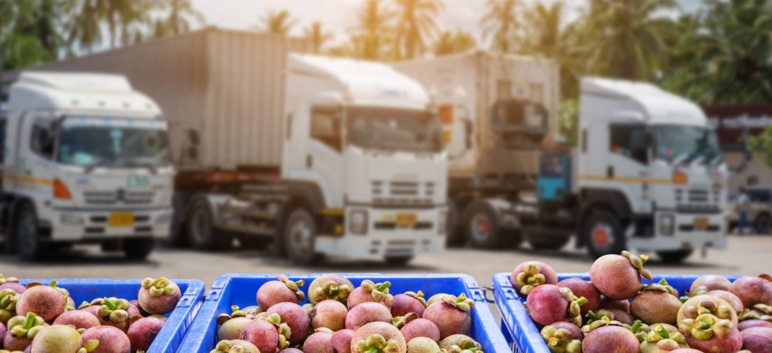 Quy Trình Vận Chuyển Hoa Quả Tươi Từ Singapore Về Việt Nam Quy Trình Vận Chuyển Hoa Quả Tươi Từ Singapore Về Việt Nam