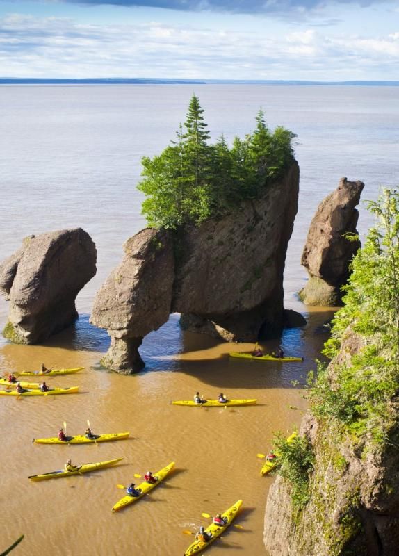 Vịnh Fundy Vịnh Fundy