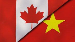 Dịch vụ mua hàng hộ từ Canada về Việt Nam